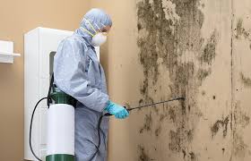 Best Asbestos and Lead Testing During Mold Inspection  in Refugio, TX